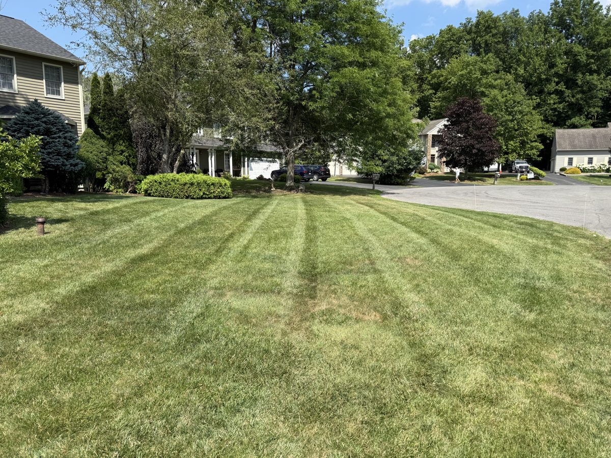 Manicured striped front lawn by T&R Land Pros